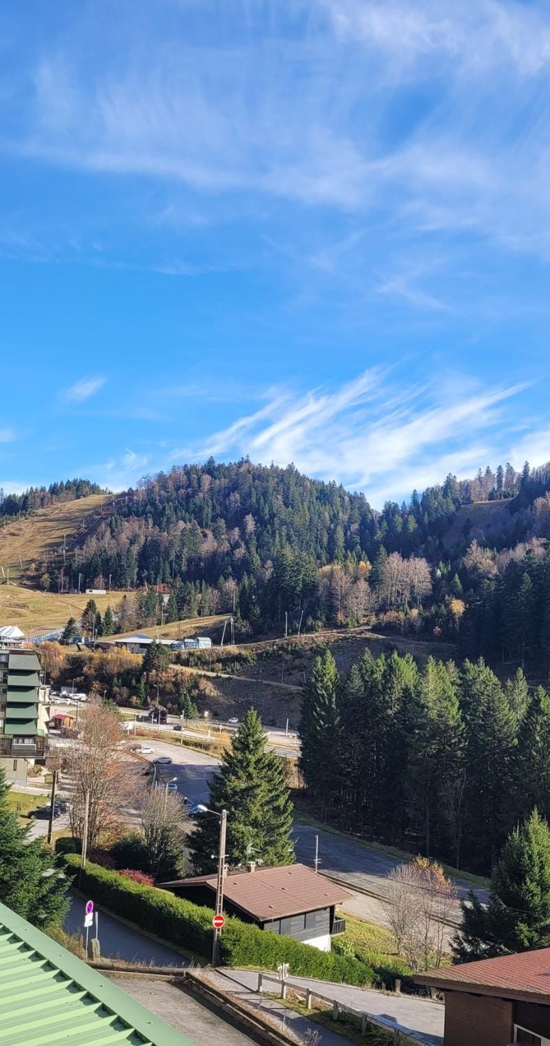 Day, Mountain view