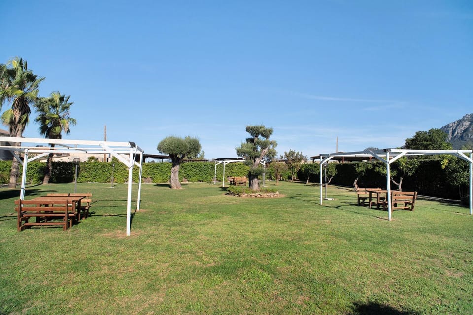 B&b Le Colline Di Paestum Bed and Breakfast in Campania