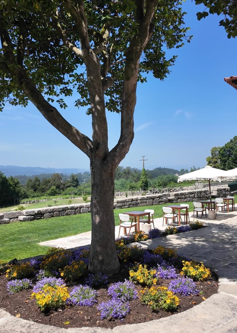 Caza de Cima de Villa Farm Stay in Porto District