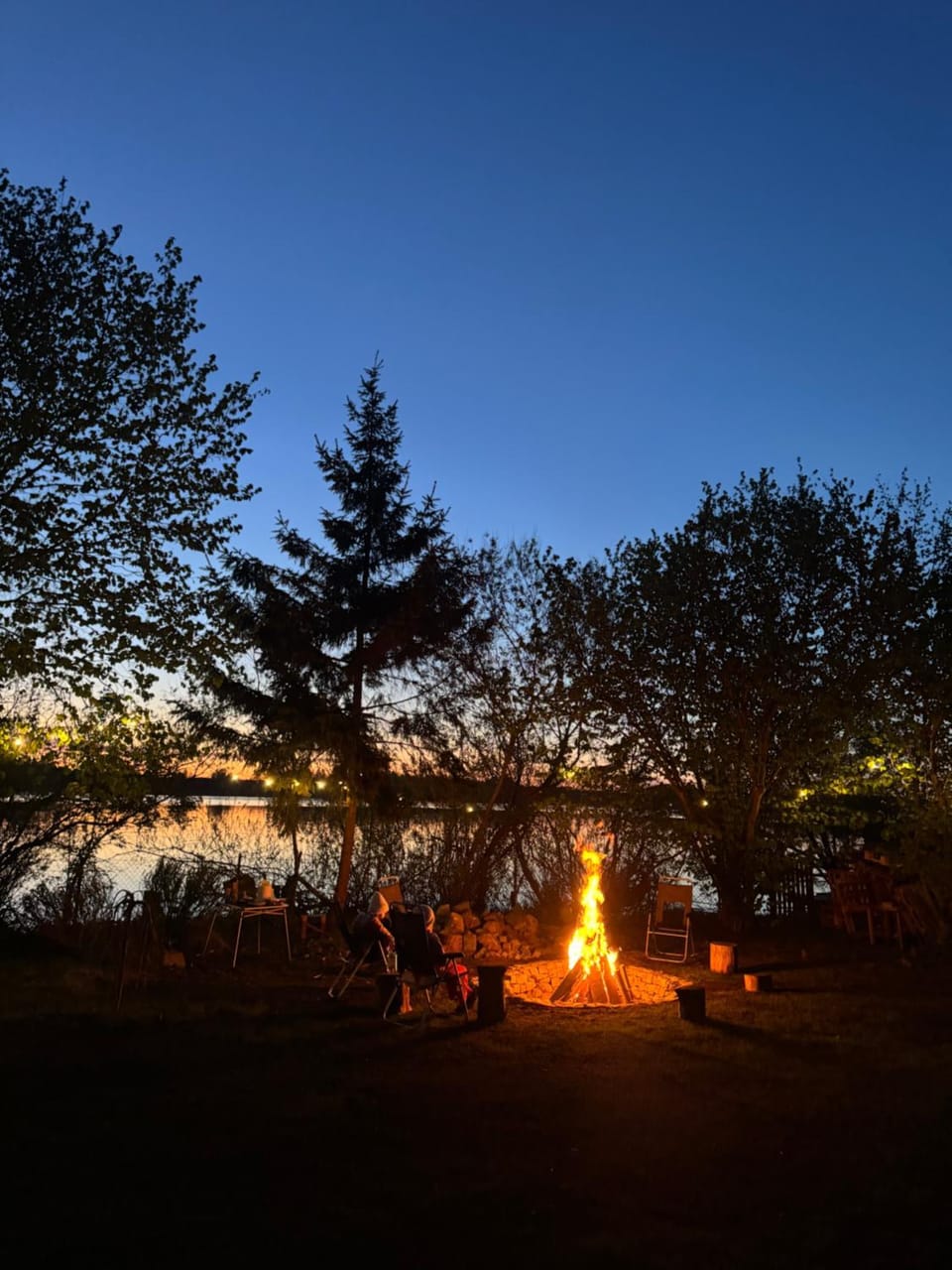 Natural landscape, Garden, Garden view, Lake view
