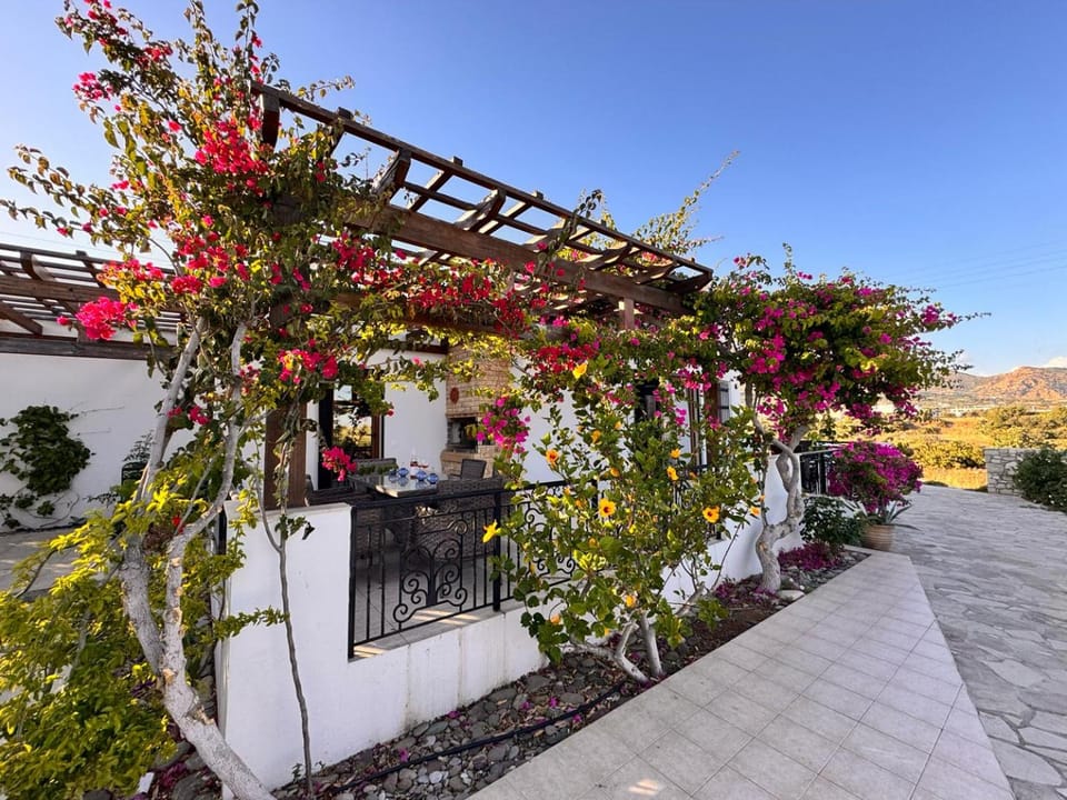 Property building, Patio, Garden, Balcony/Terrace, Dining area