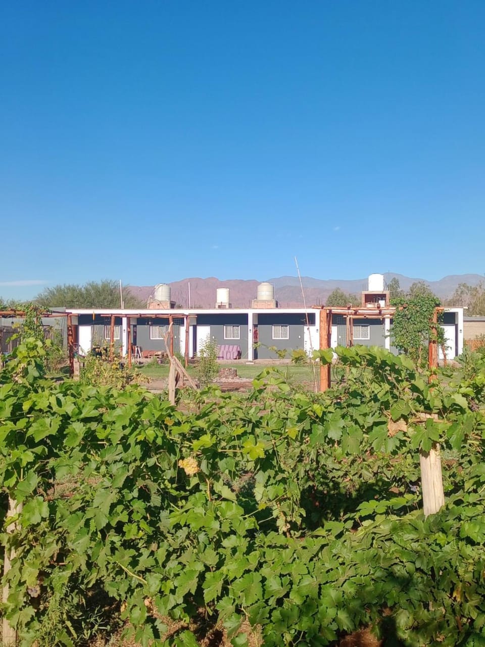 La Hacienda hospedaje Hotel in San Juan Province, Argentina