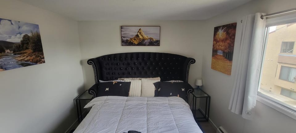 Haven Within Reach Apartment in Edmonton