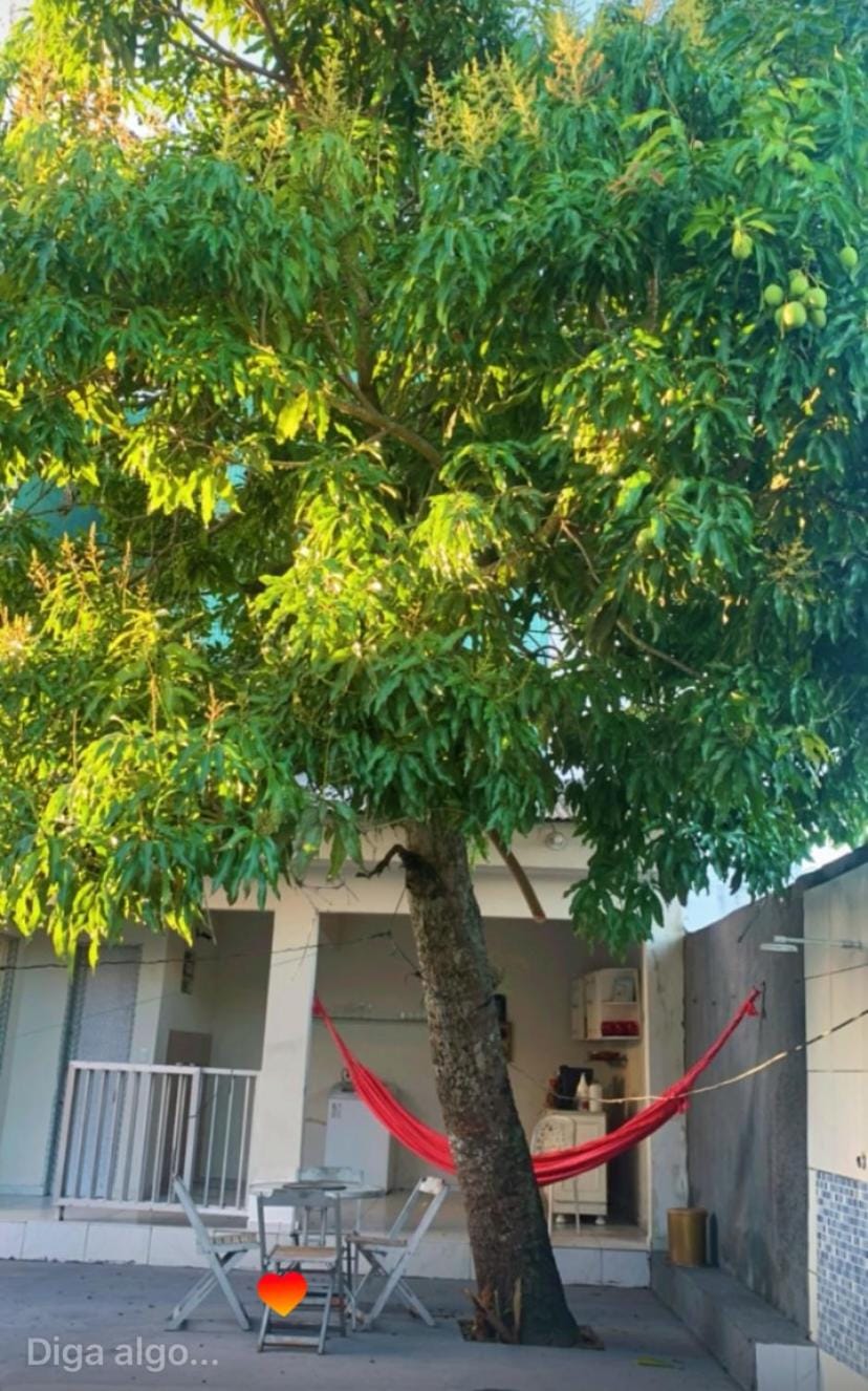 Casa grande para São João em Campina Grande House in Campina Grande