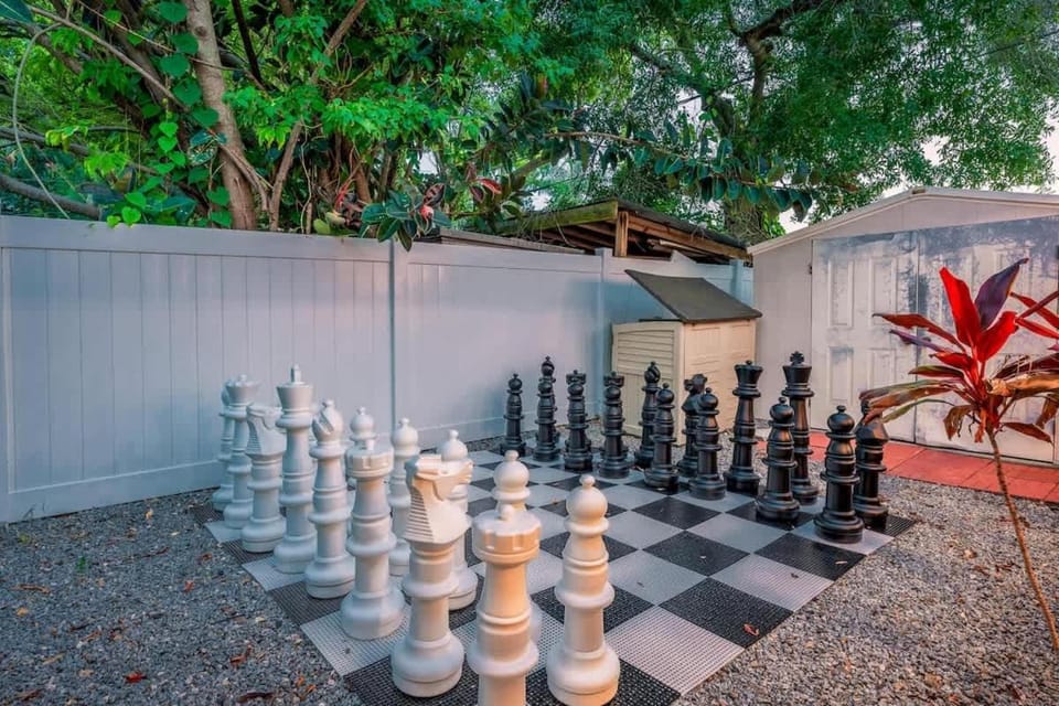 Hot Tub - Family - Dogs Allowed - Arcade Machine -MegaChess House in St Petersburg