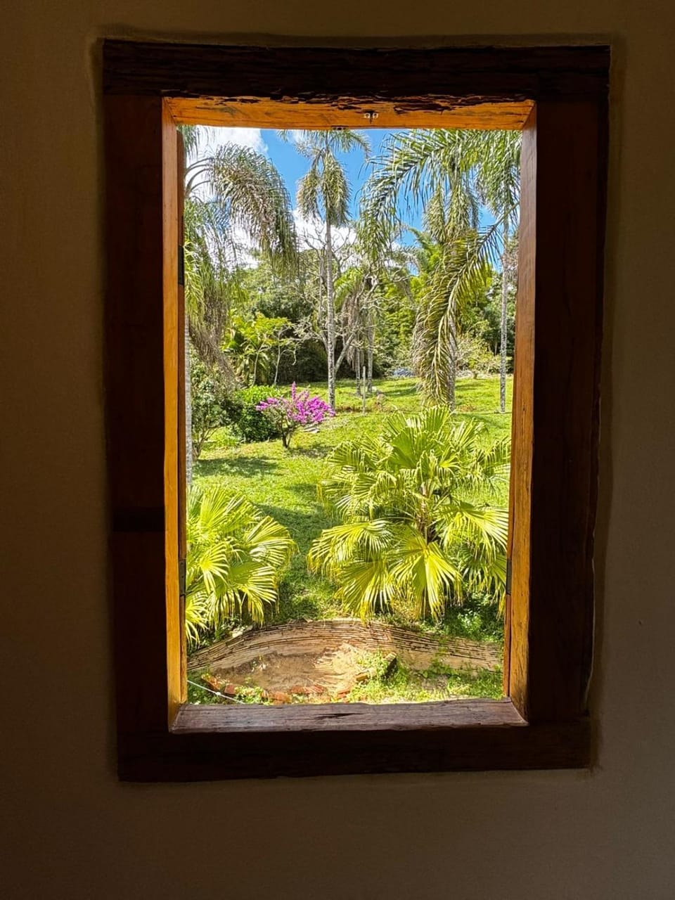 Day, Natural landscape, Garden view