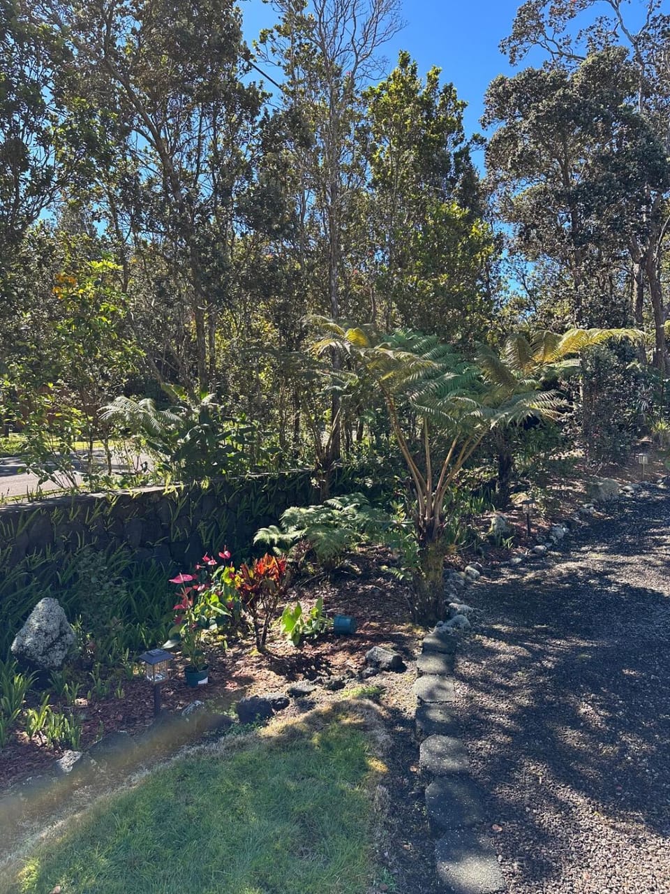 Natural landscape, Garden, Garden view