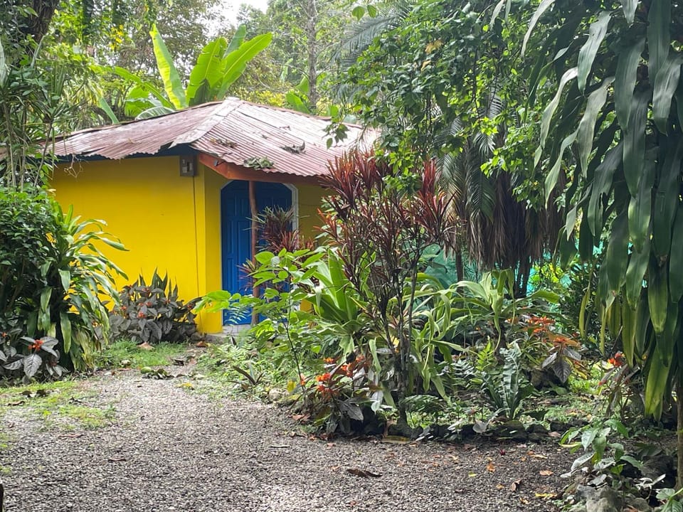Cozy cabin by the sea Cabin in Cahuita