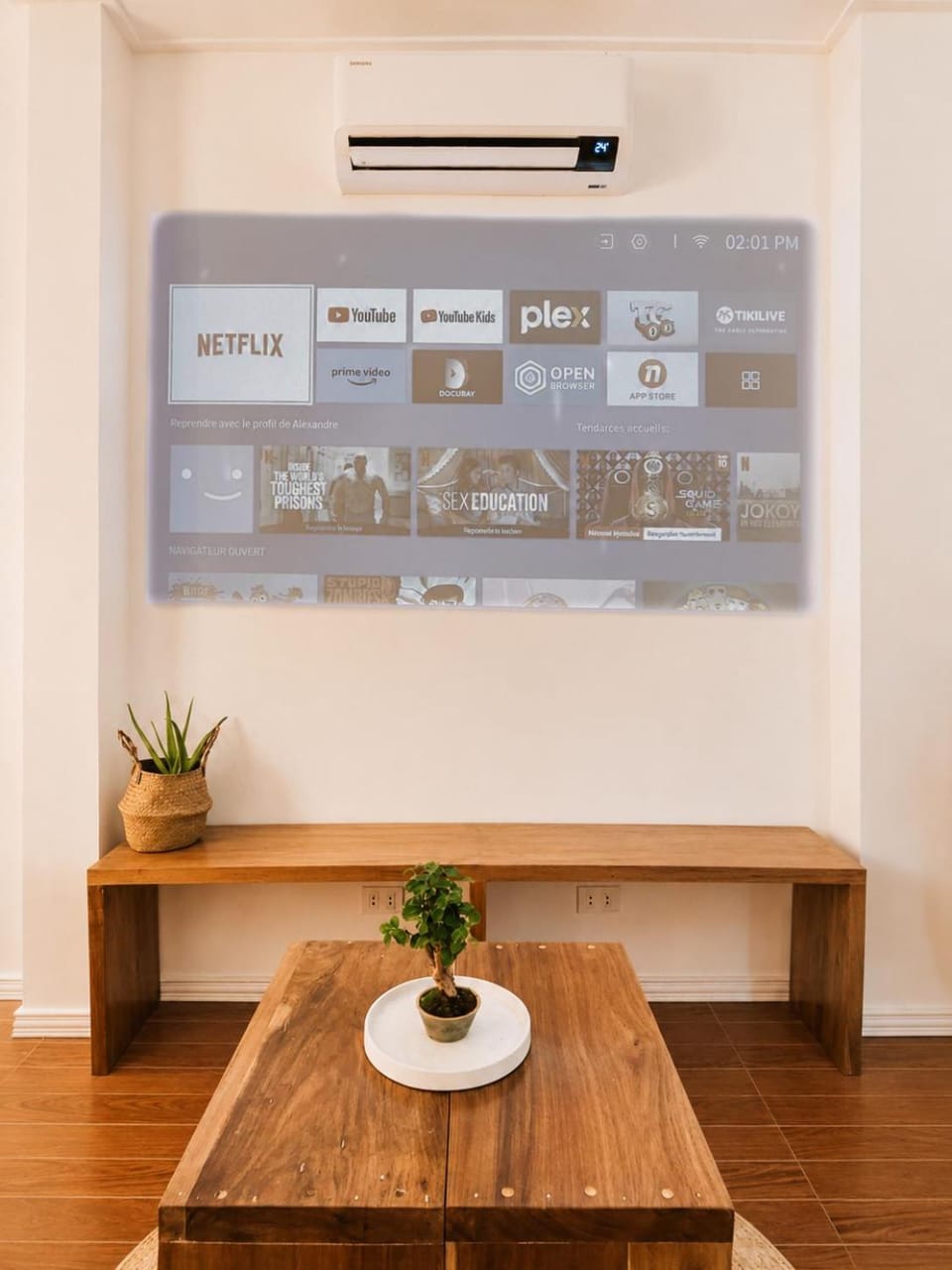 TV and multimedia