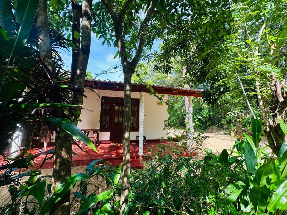 Property building, Patio, Day, Garden