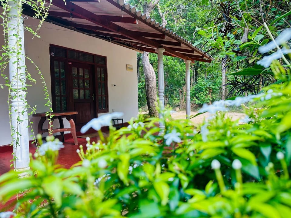 Property building, Patio, Spring, Day, Natural landscape, Garden view