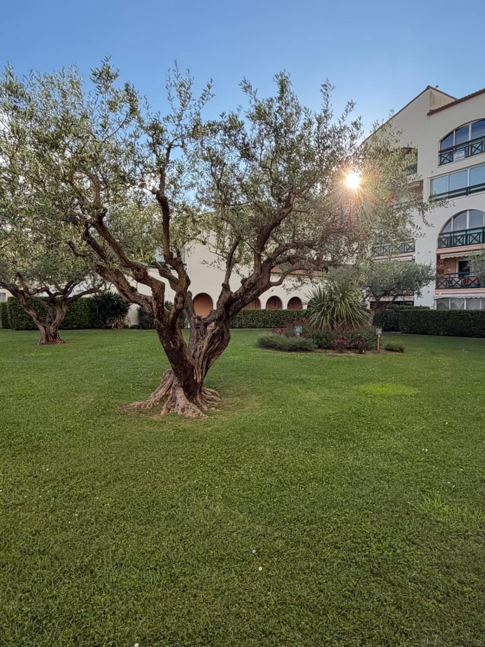 Spring, Day, Natural landscape, Garden, Garden view
