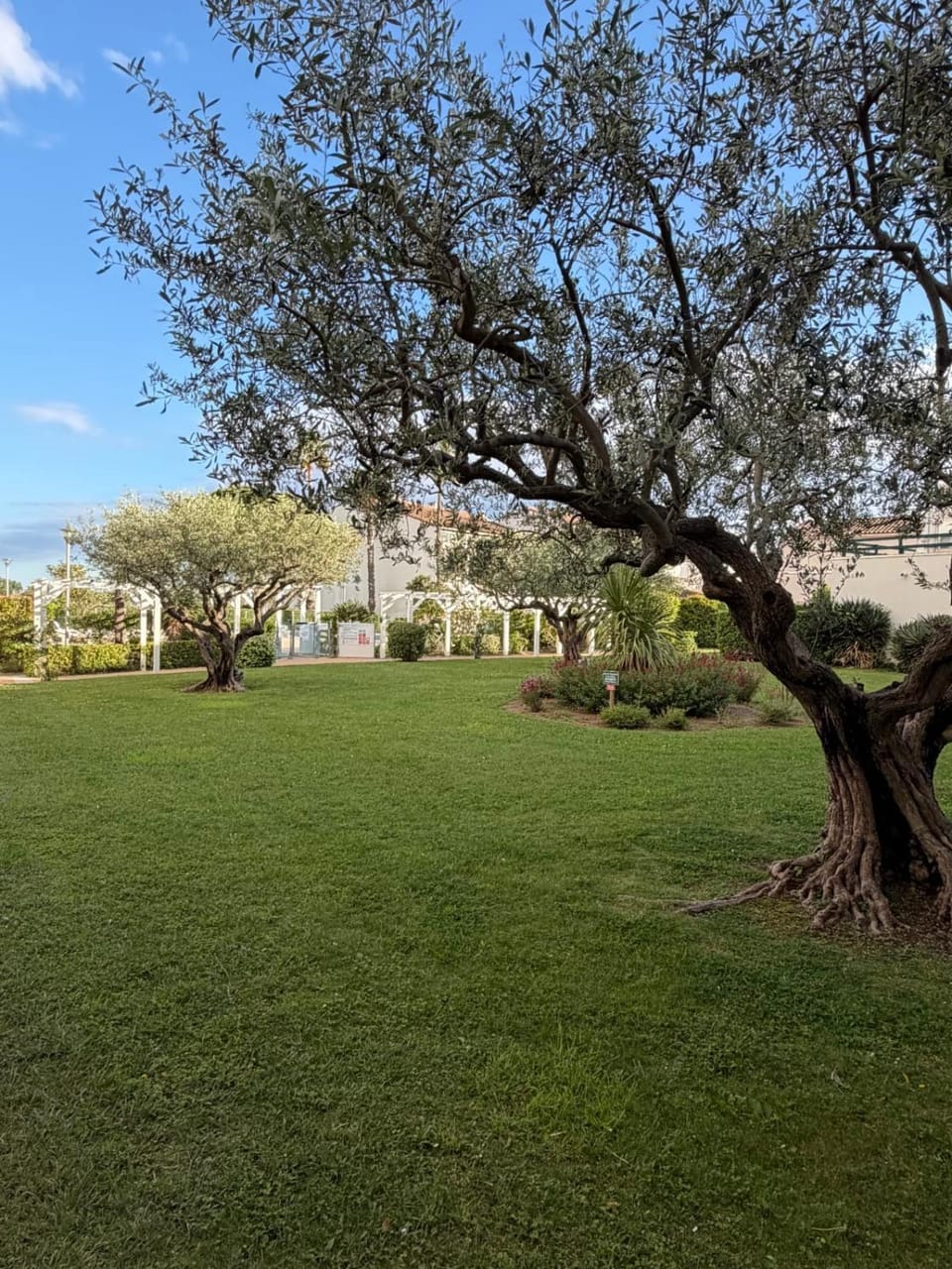 Spring, Day, Natural landscape, Garden, Garden view