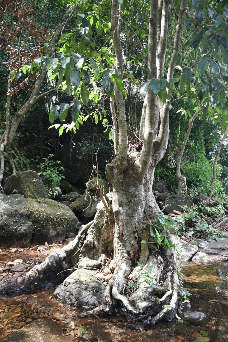 Hiking, Sports