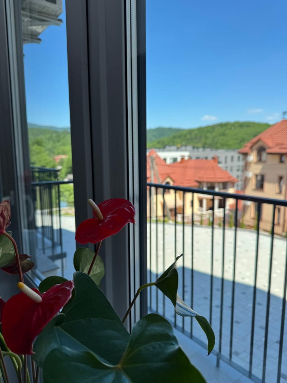 View (from property/room)