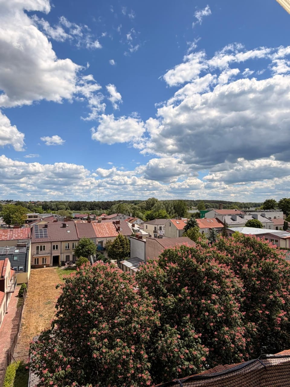 Apartament Ryki Apartment in Poland
