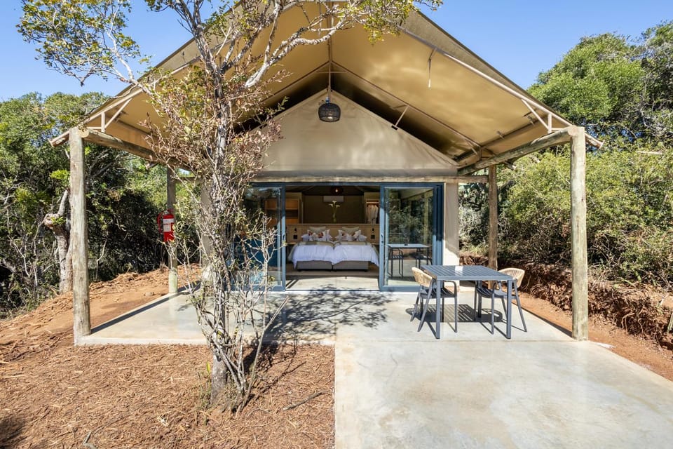 Natural landscape, Bathroom, Balcony/Terrace, Animals, Meals, Alcoholic drinks, Alcoholic drinks, minibar