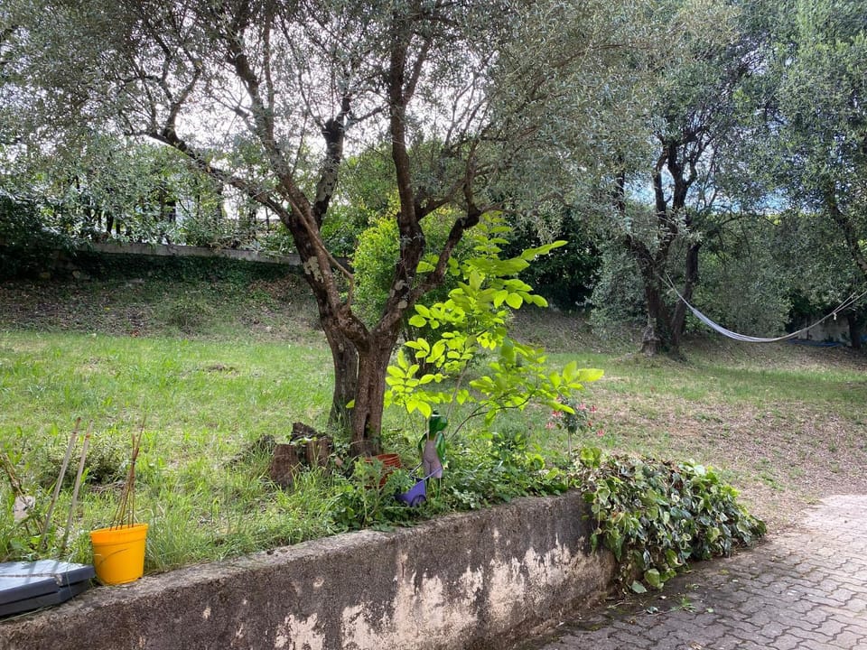 Natural landscape