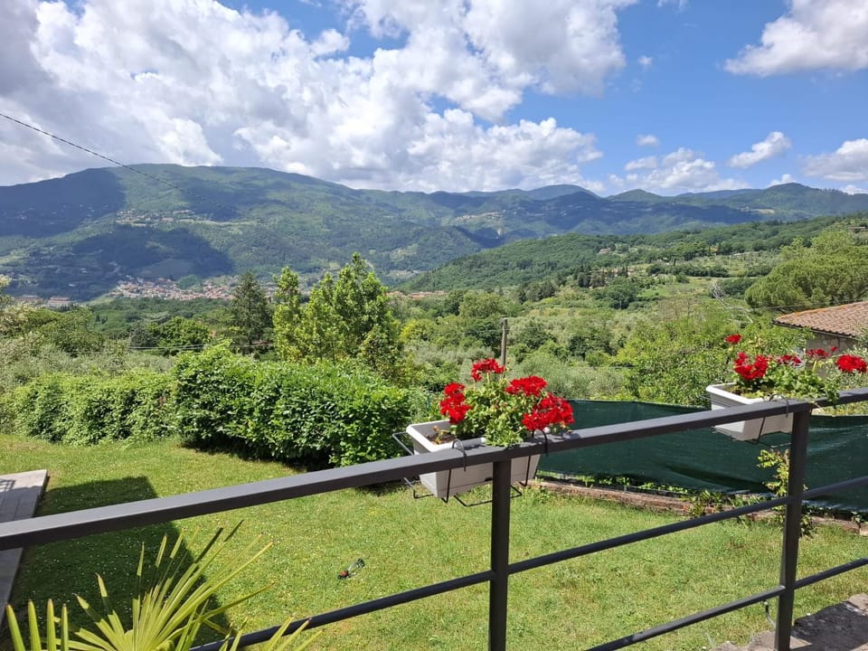 Garden, Garden view