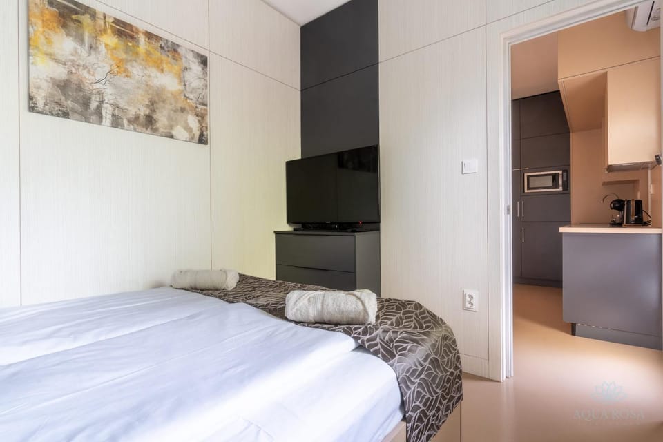 Aqua Rosa Tiszafüred 1 Apartment in Hungary