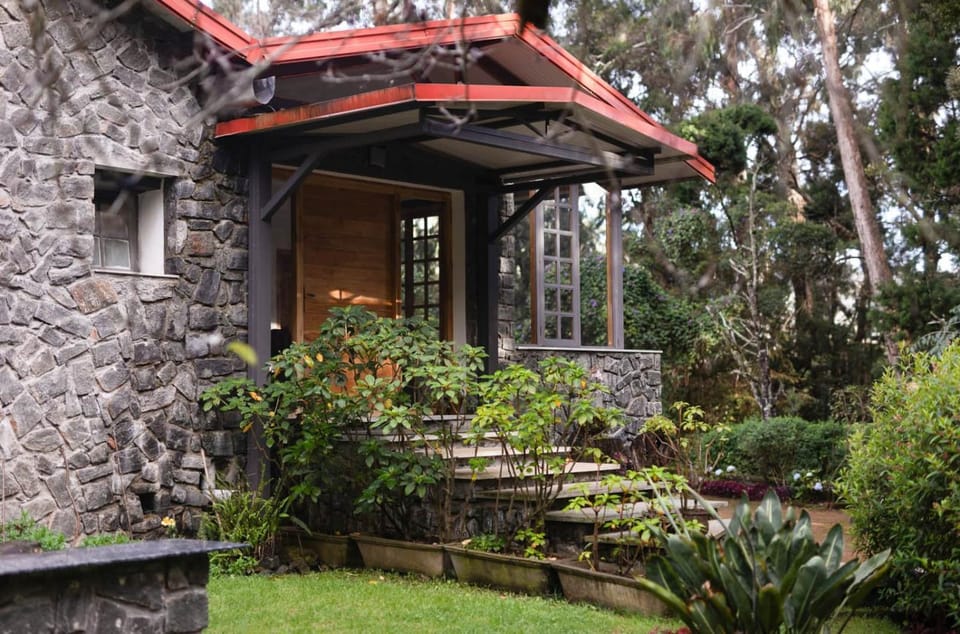 Property building, Garden, Garden view