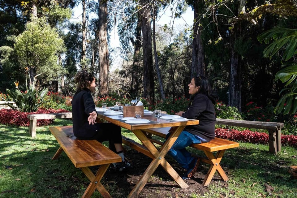 Spring, Day, People, Natural landscape, Garden, Dining area, Guests, Garden view, group of guests