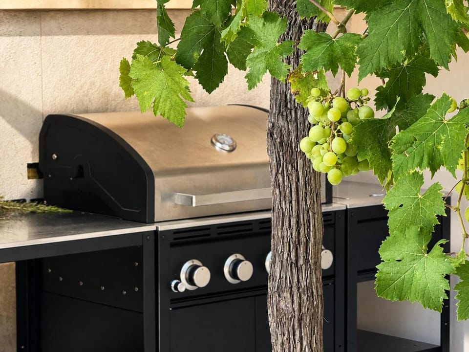 BBQ facilities, Balcony/Terrace, Kitchen or kitchenette
