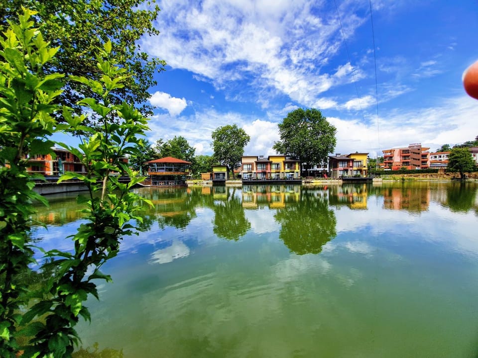 Natural landscape, Lake view