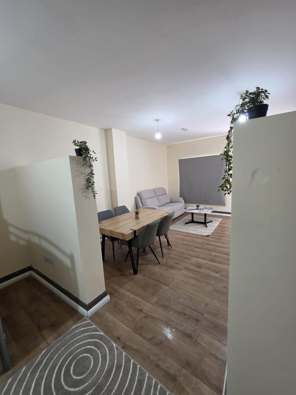 Shamrock Premium Apartment Apartment in Cork City