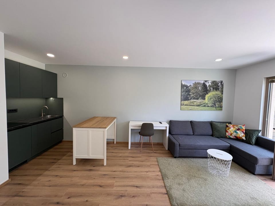 Living room, kitchen