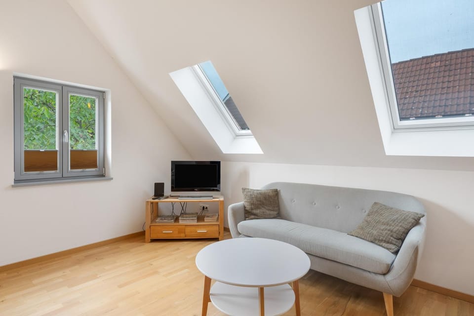 Ziegfried#Ziegenhof Apartment in Dresden