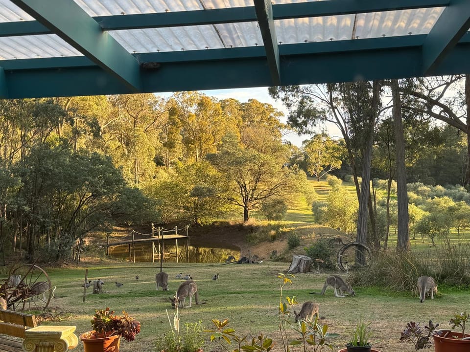 Day, Natural landscape, Garden, Garden view