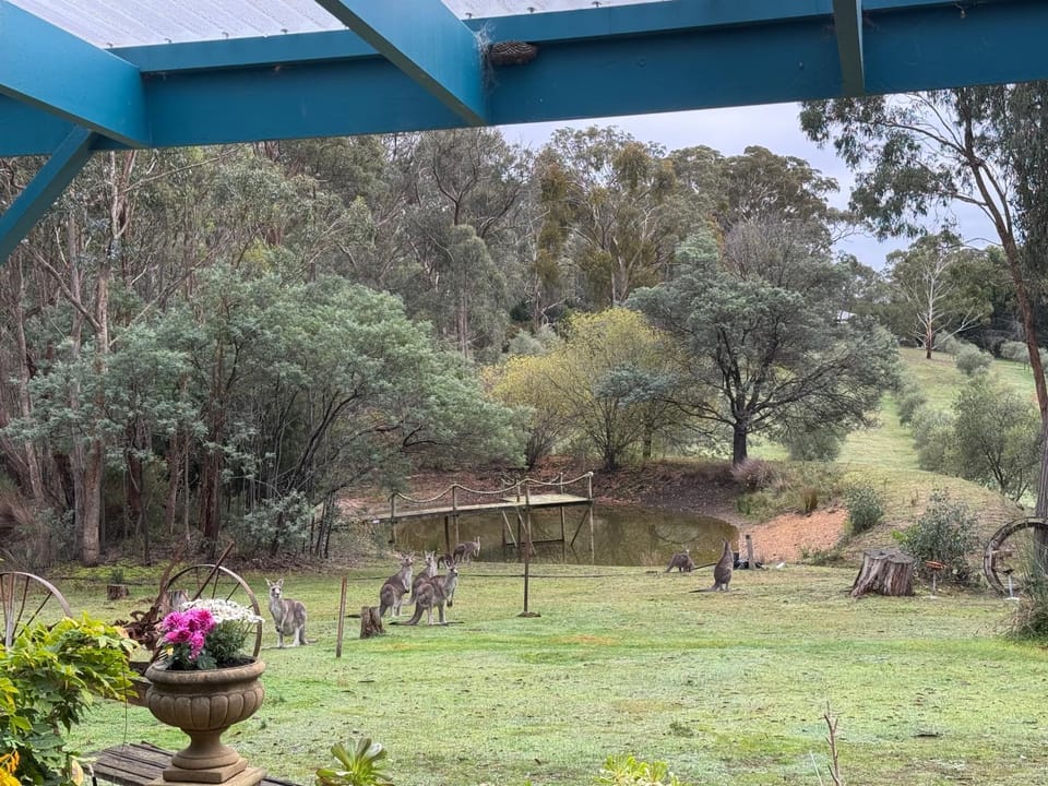 Day, Natural landscape, Garden, Garden view