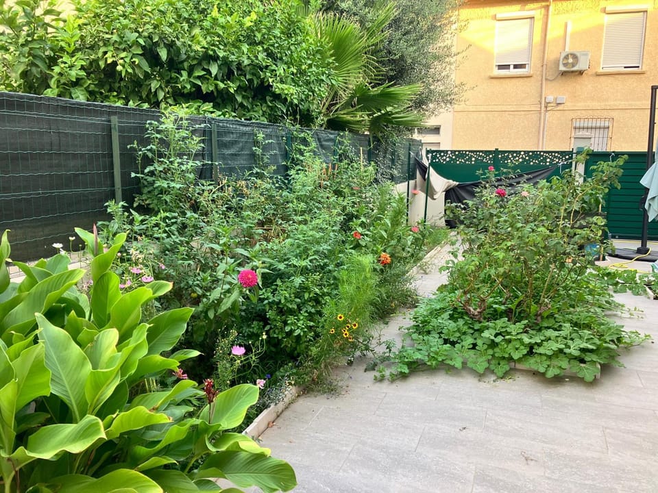 Patio, Balcony/Terrace