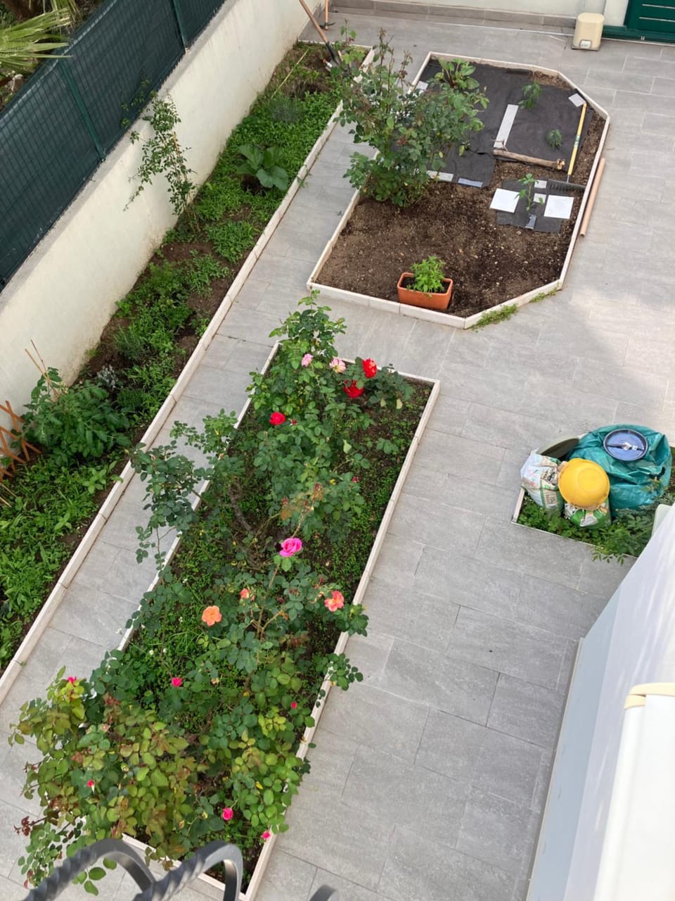 Garden view