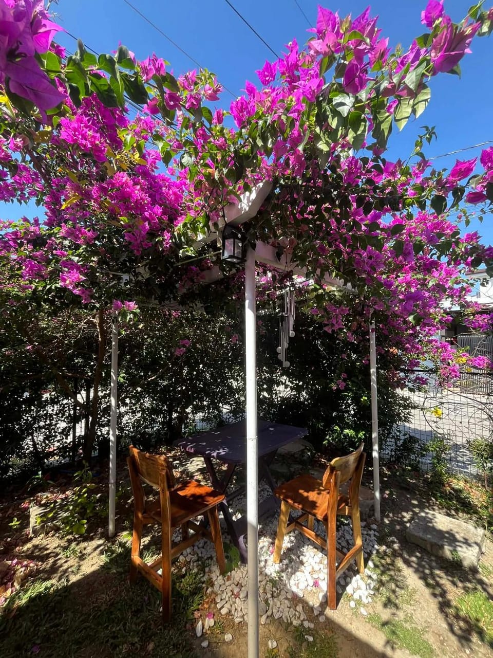 Spring, Day, Garden, Garden view