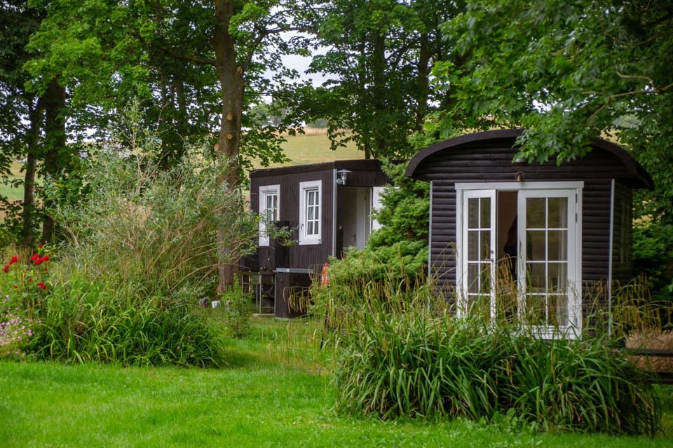 Property building, Natural landscape, Garden, Garden view