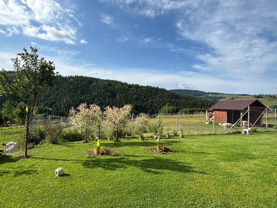 Off site, Natural landscape, Garden, Garden view, Mountain view