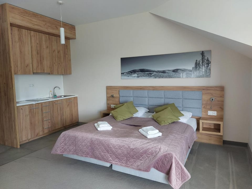 Aparthotel Apartamenty Czarna Góra 311 Apartment in Lower Silesian Voivodeship