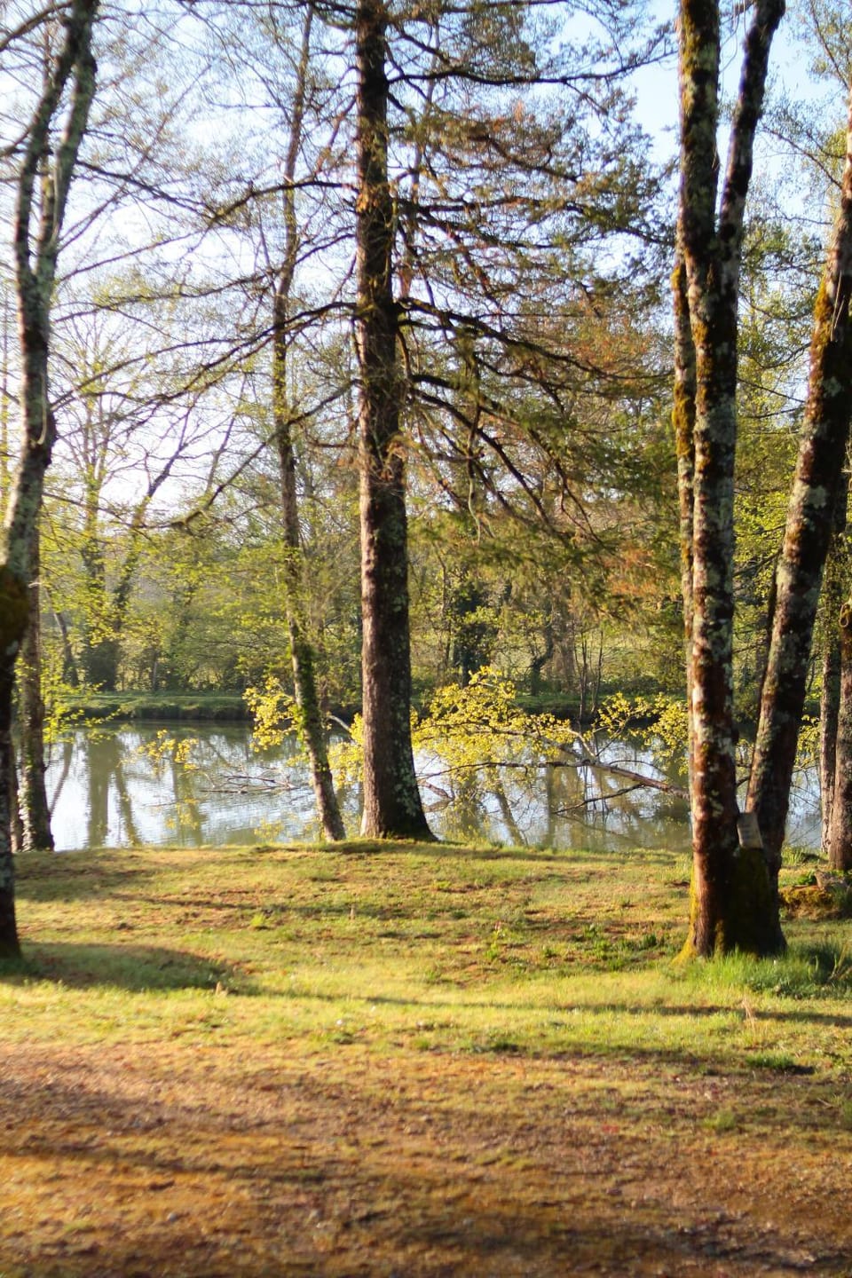 Spring, Lake view