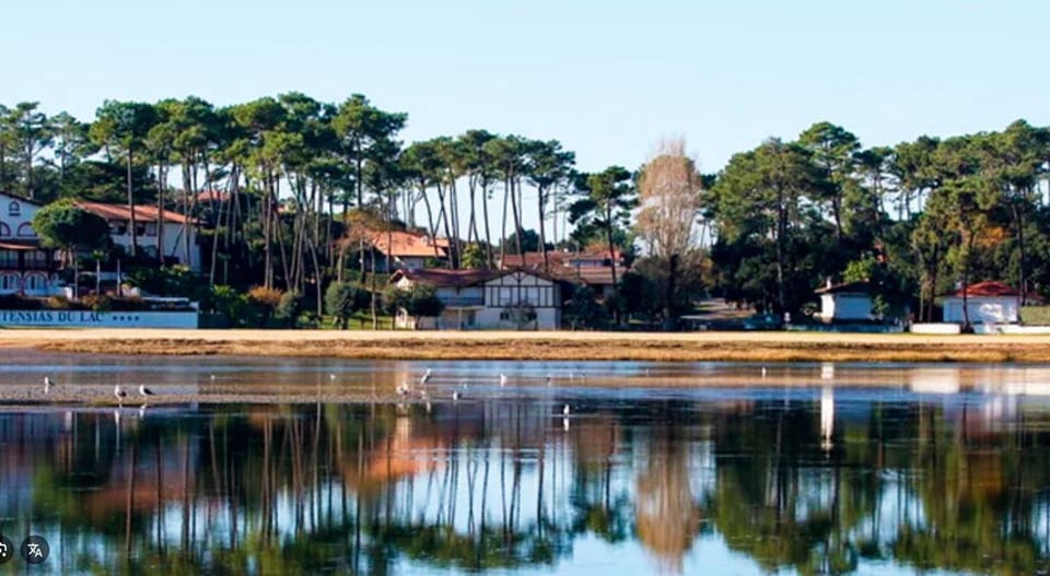 Beach, On site, Location