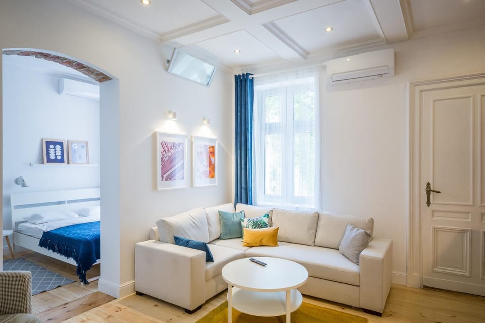 Living room, Photo of the whole room, Seating area, air conditioner