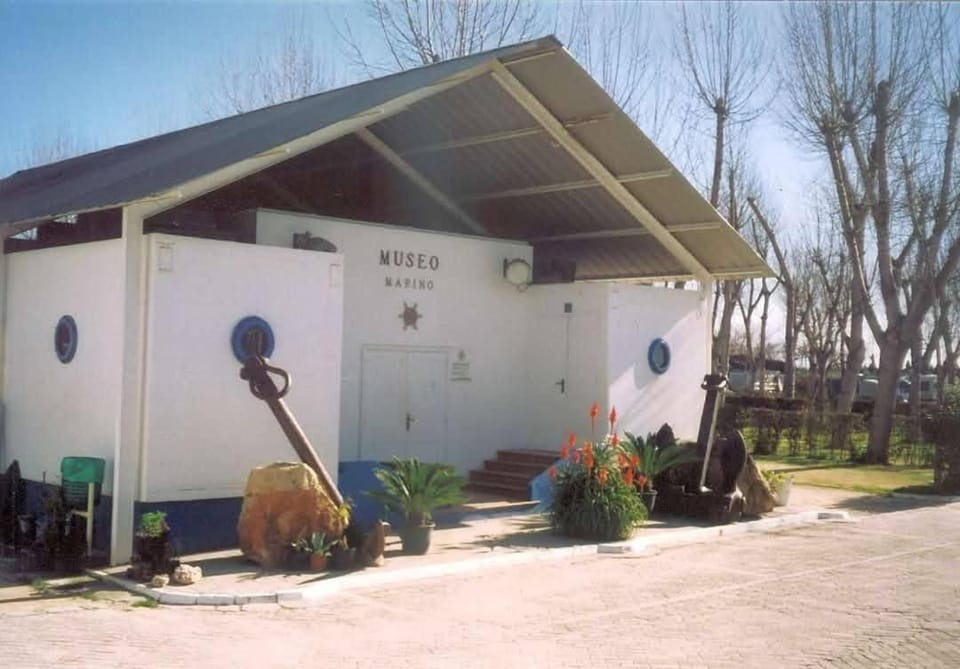 Caravana Camping Coelius Campground/ 
RV Resort in Safor