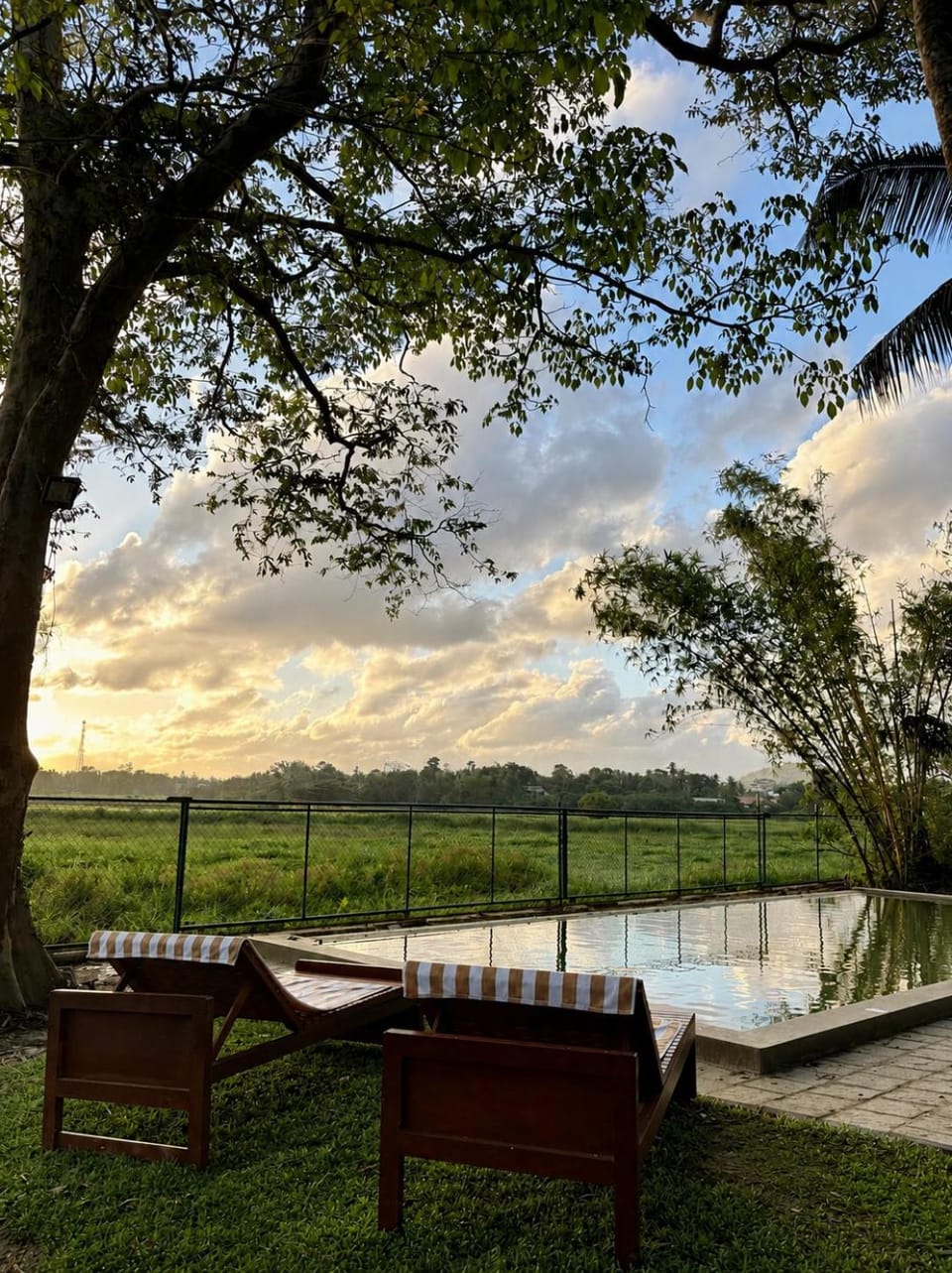 Natural landscape, Pool view, Swimming pool