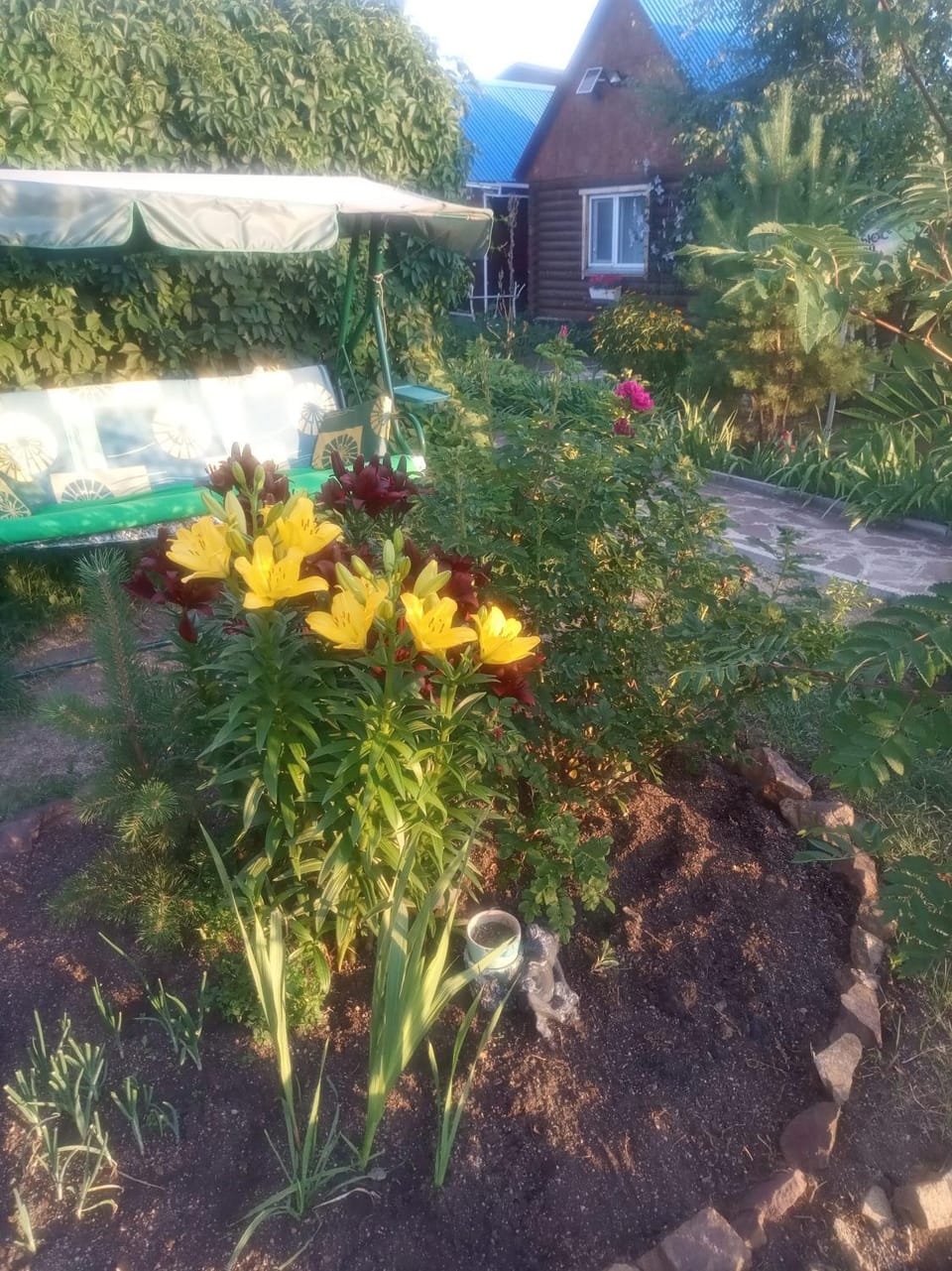 Синие домики Bed and Breakfast in Kazakhstan