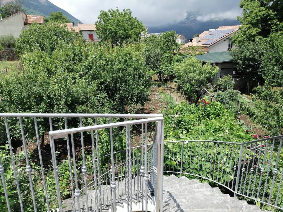 Garden, City view, Garden view, Mountain view, Inner courtyard view
