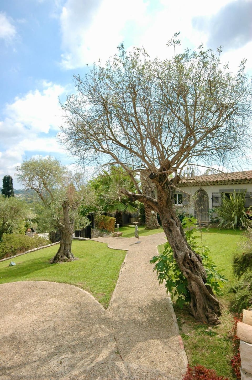 Natural landscape, Garden