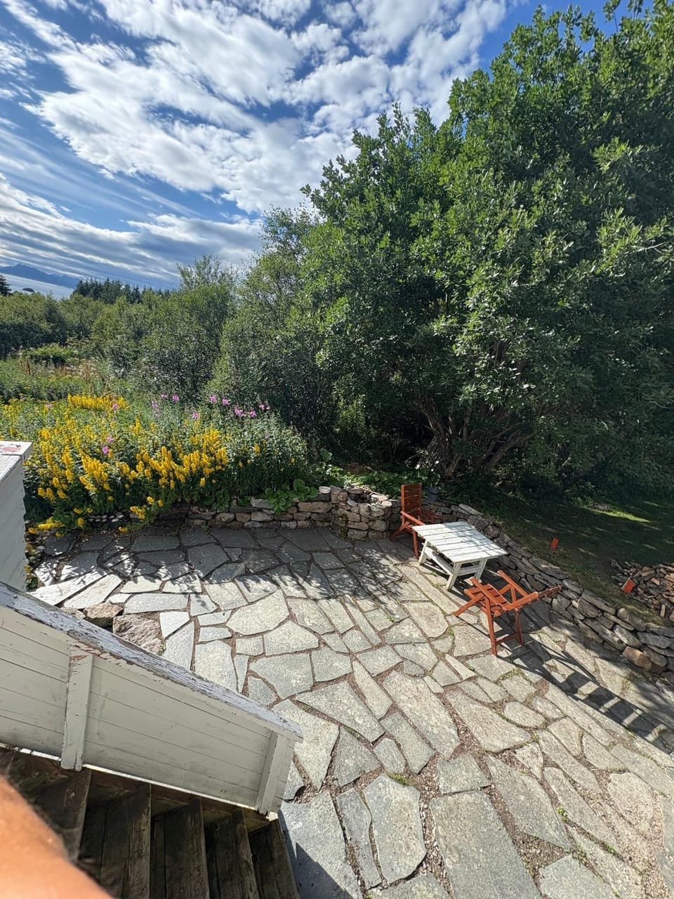 Patio, Garden, Garden view