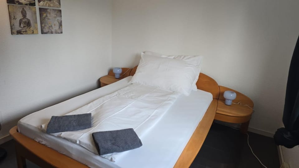 Compact room zurich with easy access and near center House in Zurich City