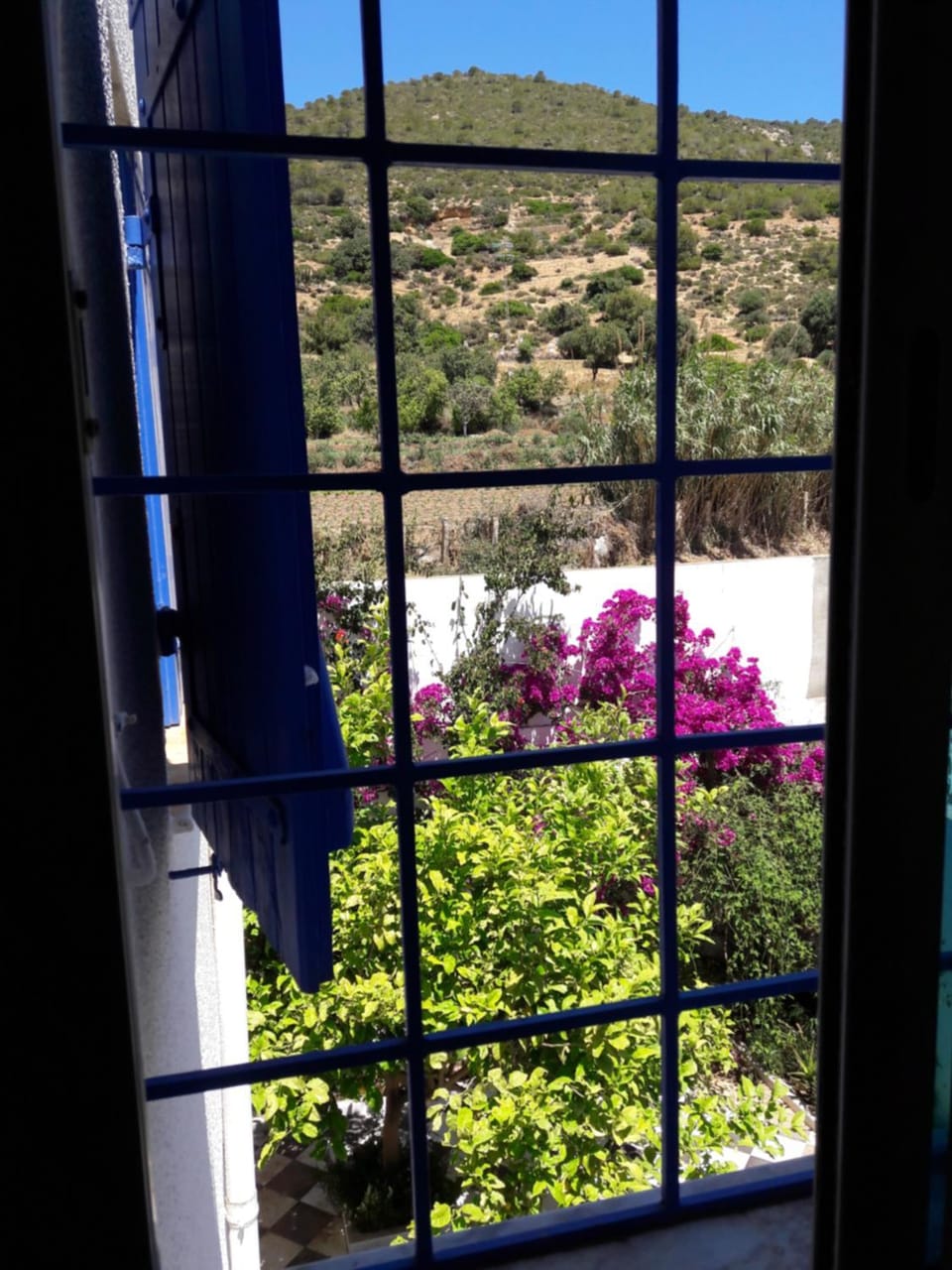 Garden view
